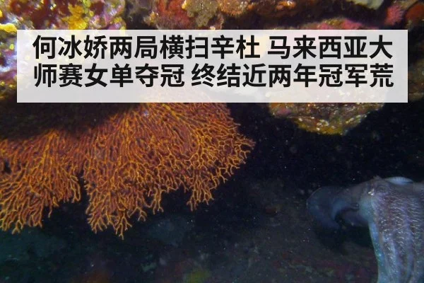 何冰娇两局横扫辛杜 马来西亚大师赛女单夺冠 终结近两年冠军荒