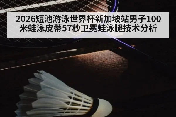 2026短池游泳世界杯新加坡站男子100米蛙泳皮蒂57秒卫冕蛙泳腿技术分析
