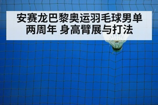badminton net play