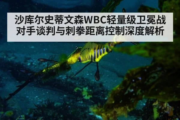 沙库尔史蒂文森WBC轻量级卫冕战对手谈判与刺拳距离控制深度解析